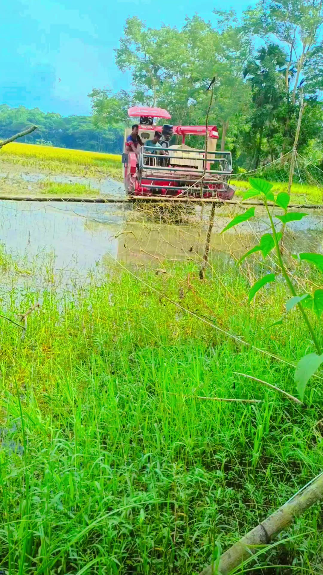 @đę§đĒ āĻāώā§āĻ āĻāϰāĻž āĻā§āĻŦāύ đĒę§đ