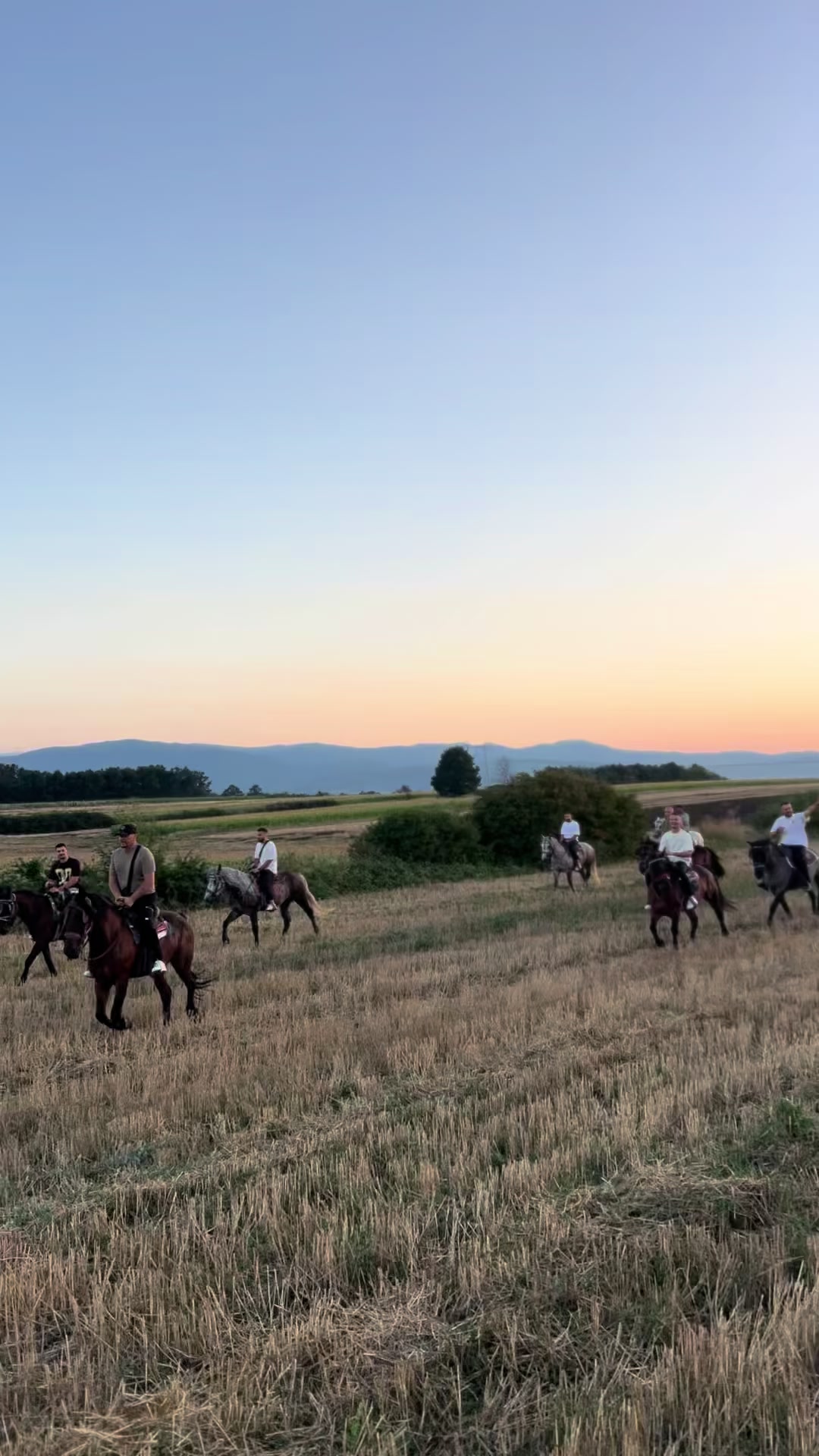 @BERTI RANCH 🐎