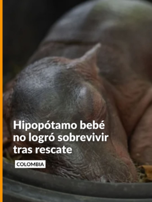 @Noticias Caracol