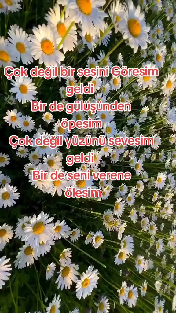 @💞 AŞKIMIN 💞 AŞKIYIM 💞