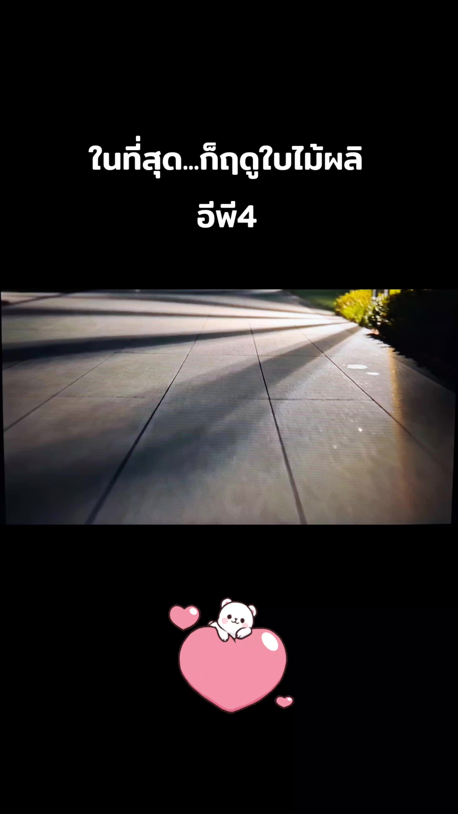 @🐷แวะไปเรื่อย🐷