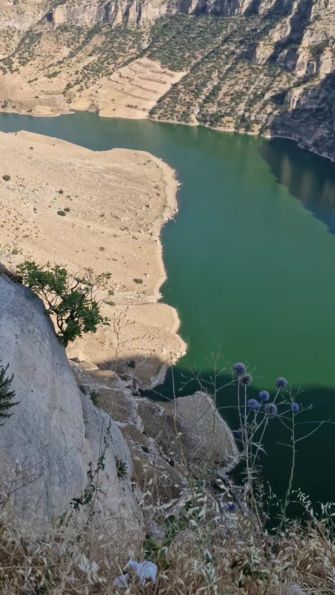 @Sevda çiçeği