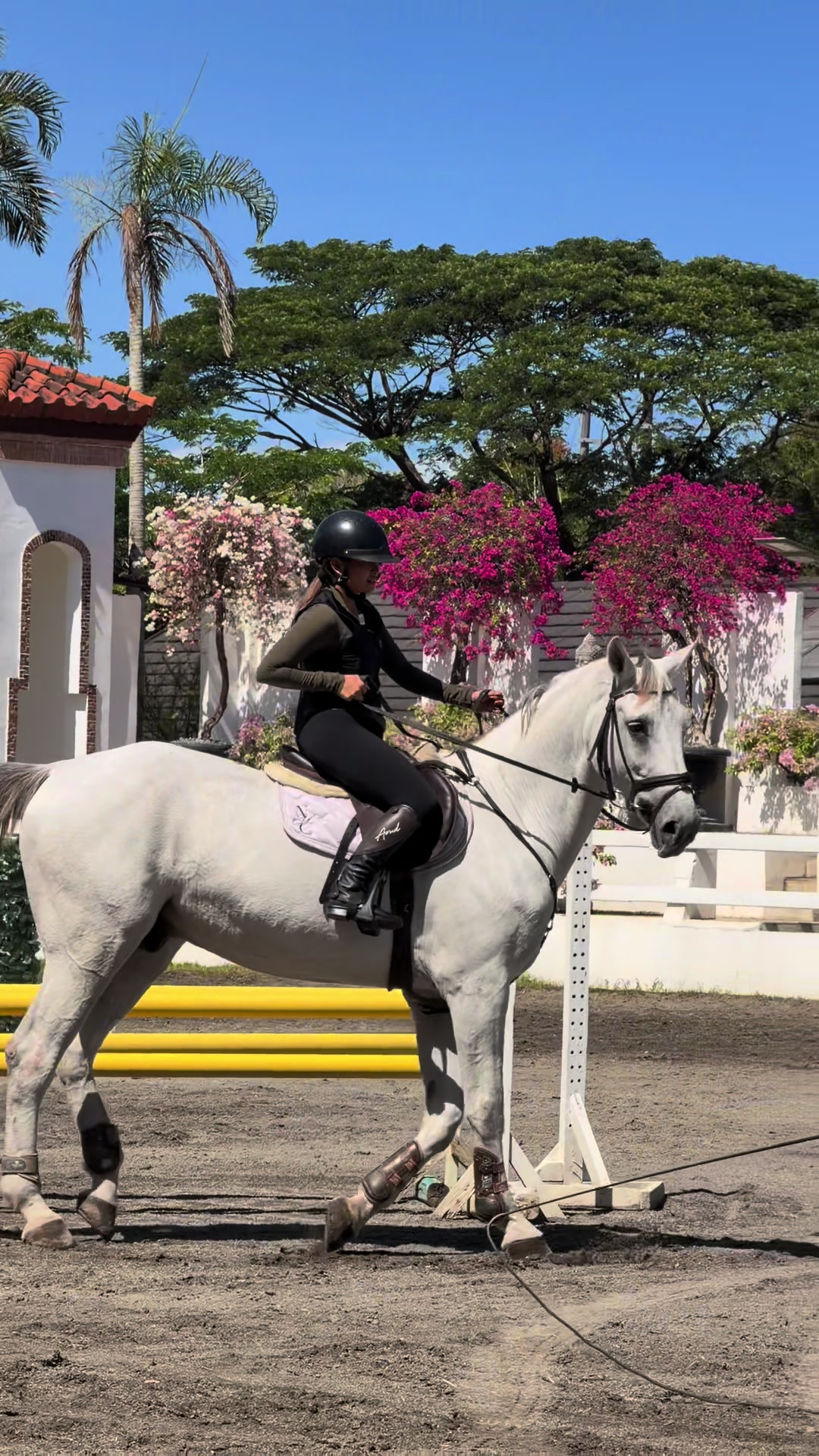 @Pau Del Rio