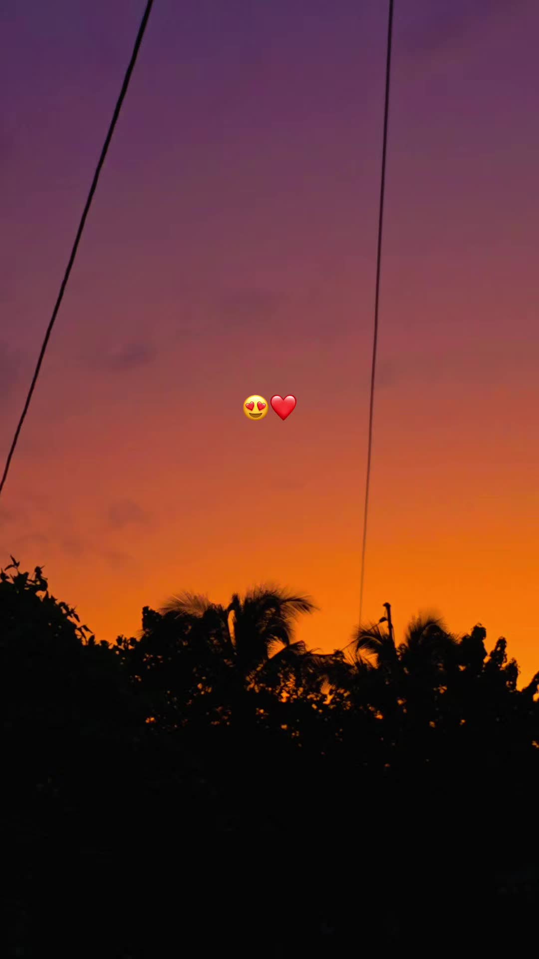 @️𑣲⋆𝓓𝓪𝓻𝓵𝓲𝓷 ᥫ᭡