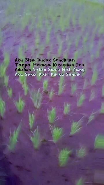 @#Bapak-nya Bapak.
