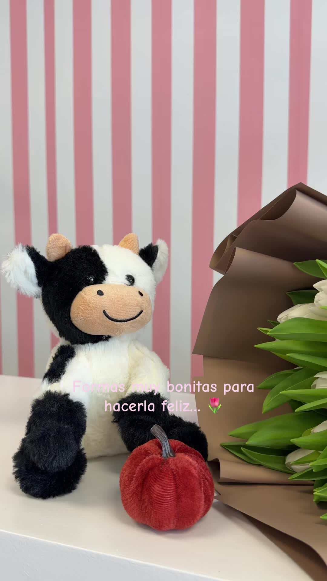 @๐ ๐ ๐ ๐ ๐ ๐ ๐ ๐ ๐ โก
