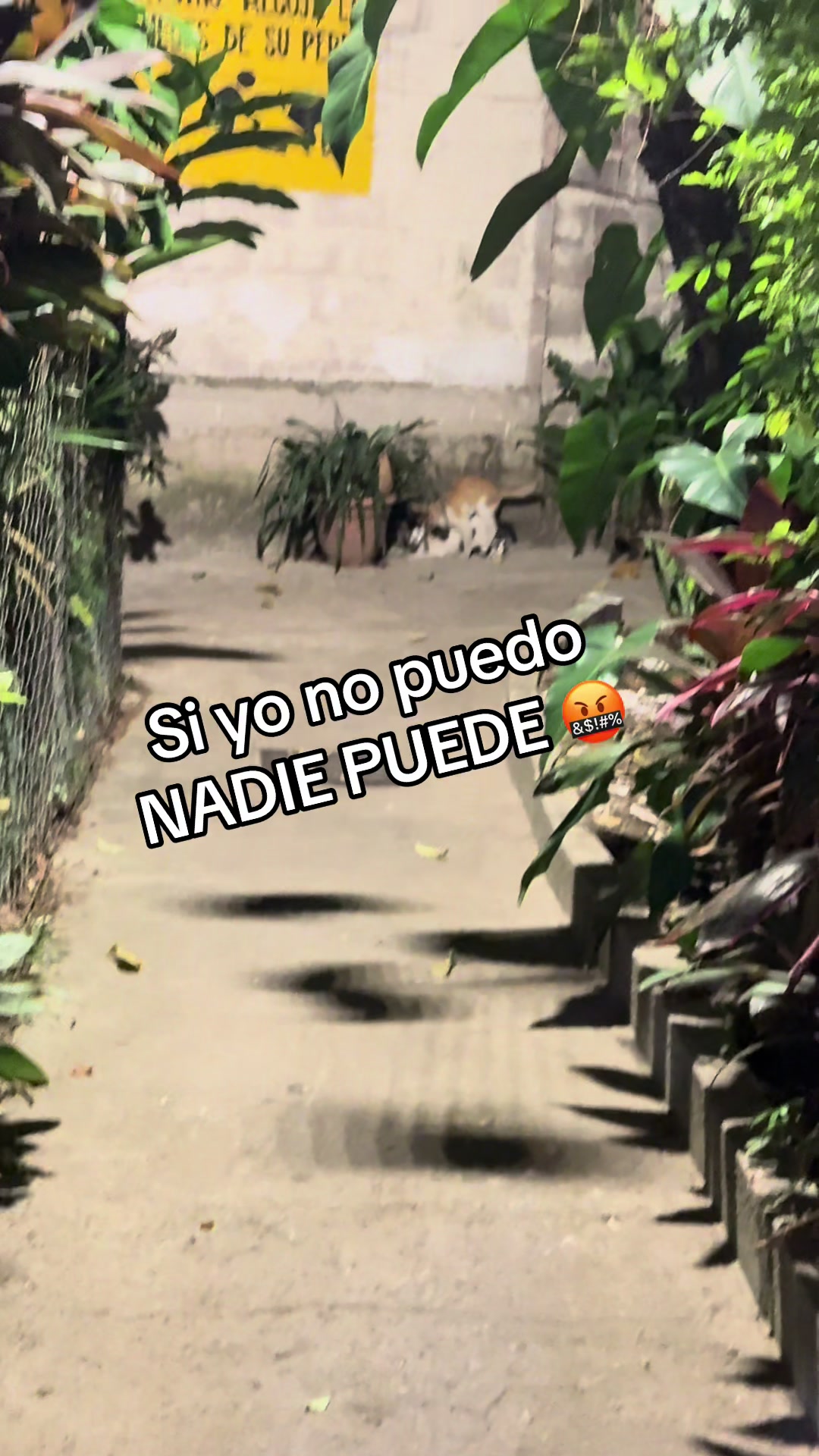 @Leo