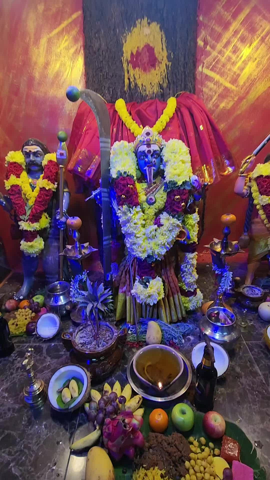 @SHEELA8084
