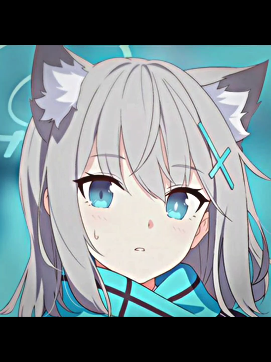 @๐ต๐ต ๐๐ ๐ต๐
