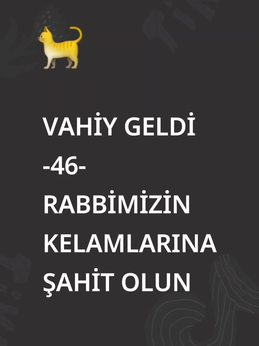 @Adedi berrak ahi