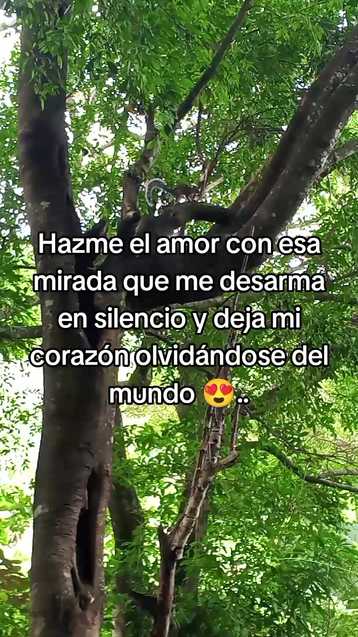 @lluvia 💫