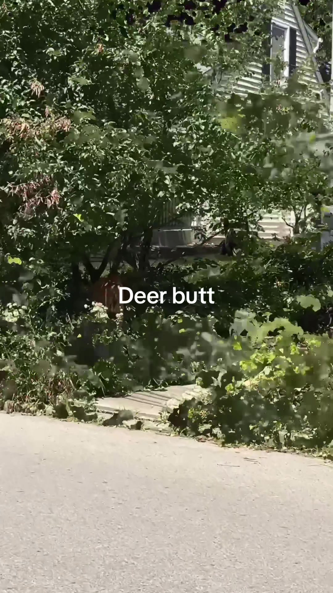 @james_ca_