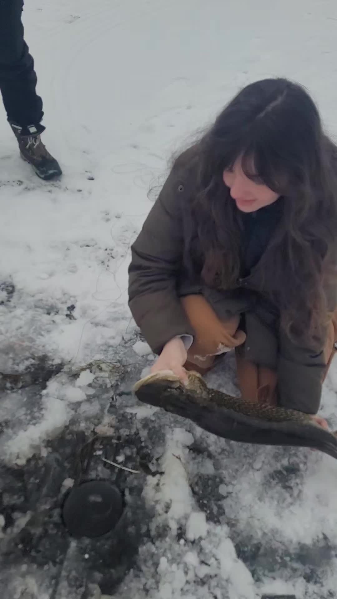 @Moonpie Outdoors