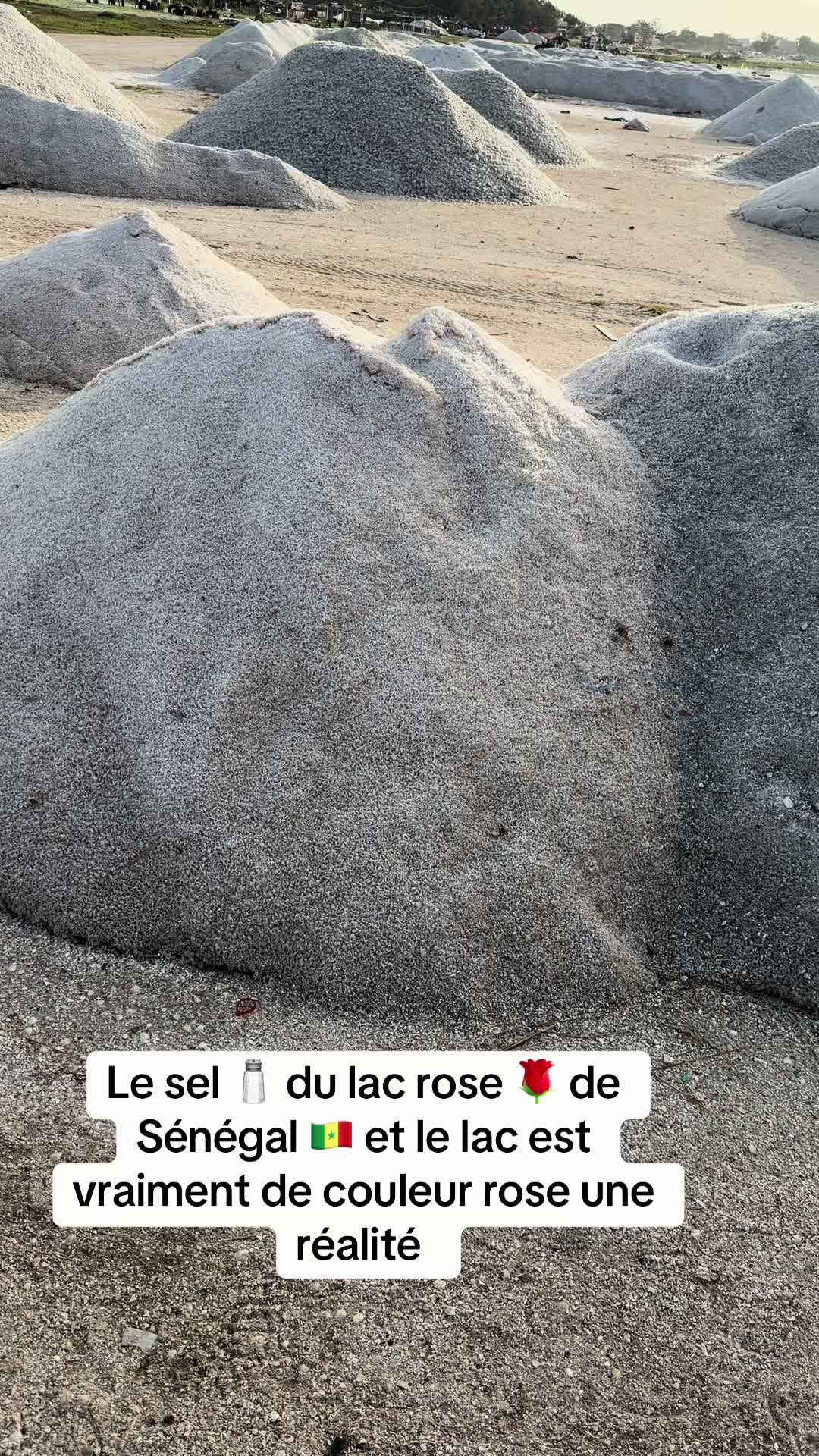 @Olivier le Motard