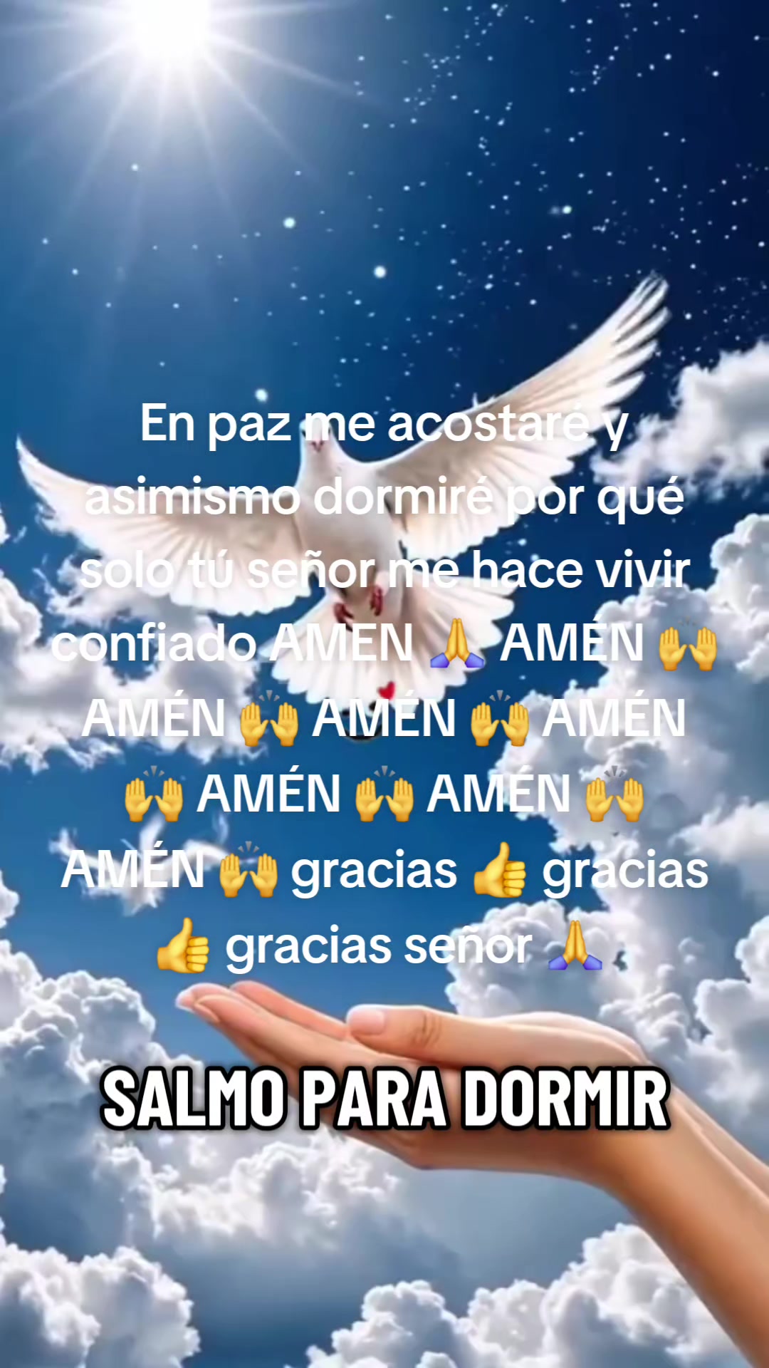 @Iliana Guerrier