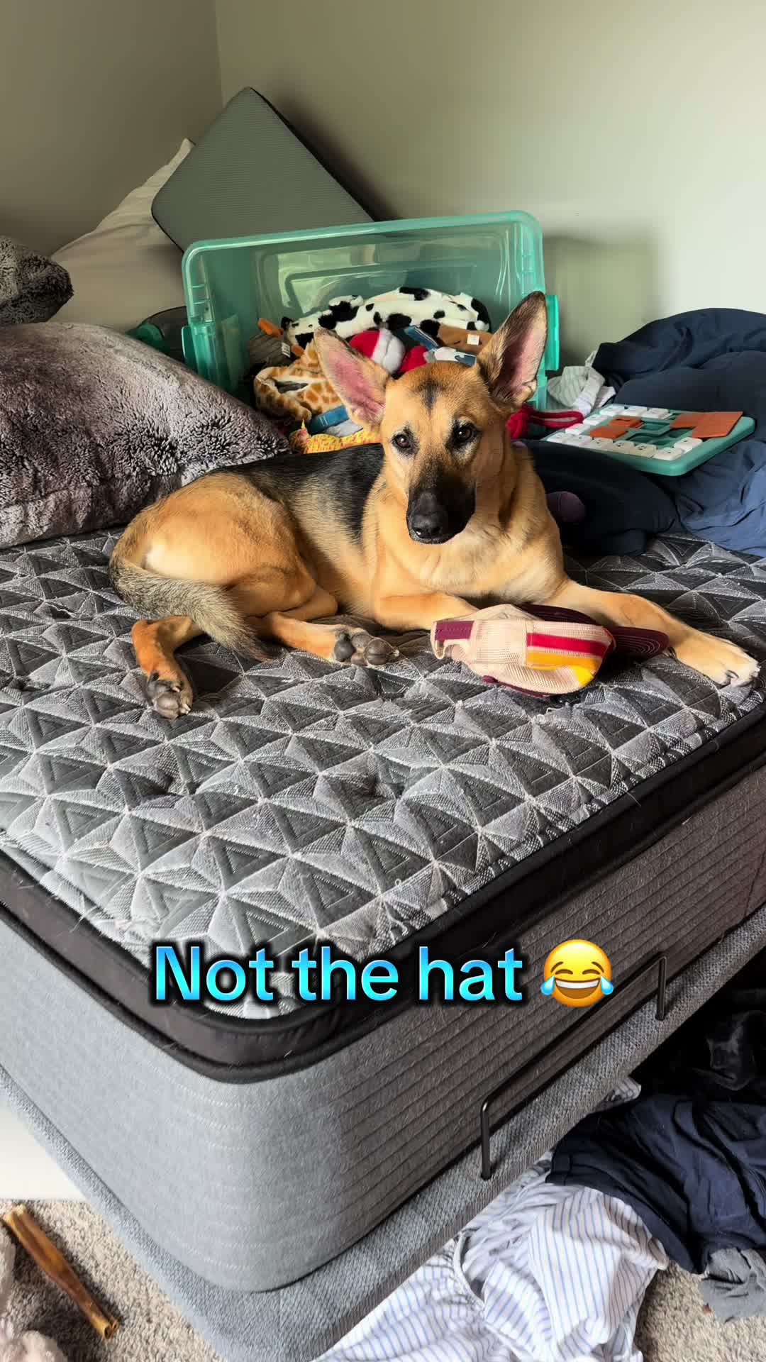 @Kiki.GSD