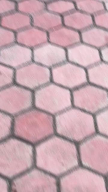 @asgrdn