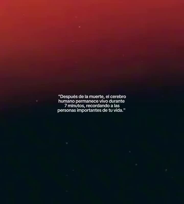 @🦇