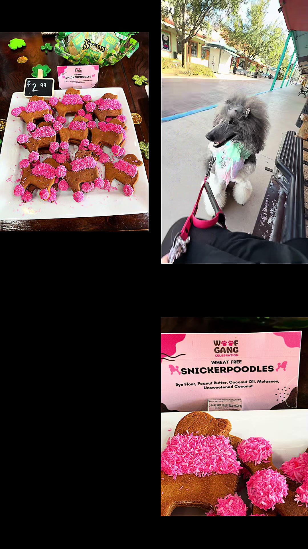 @Luxe The Adventure Poodle