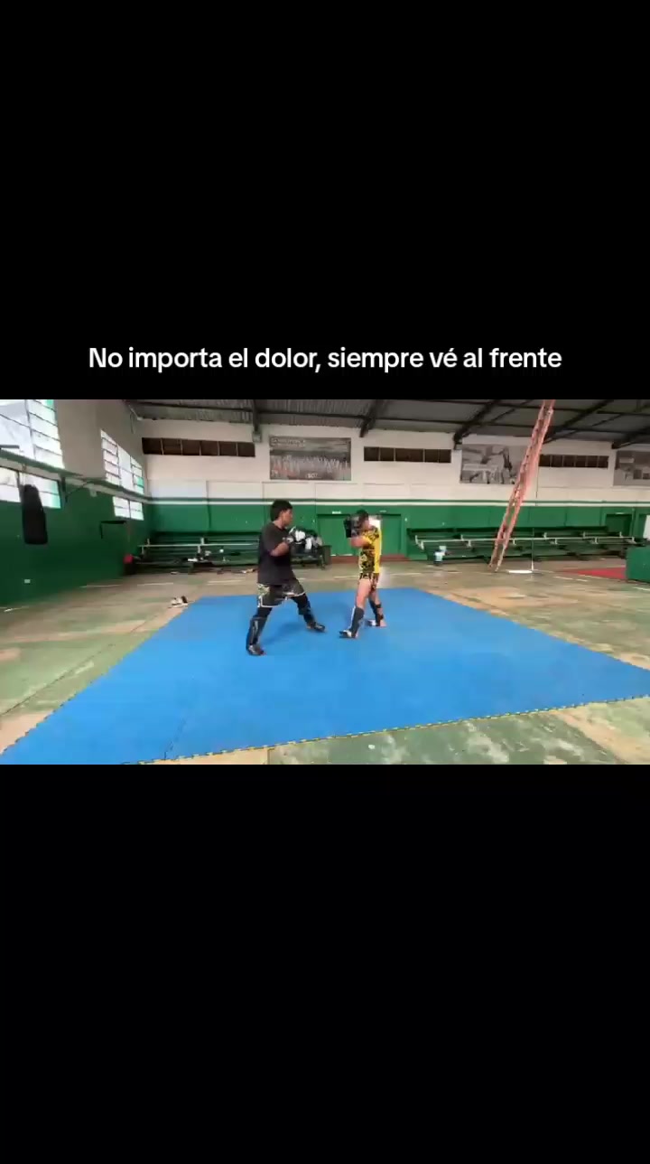 @Ardilla_K1🐿️🥊