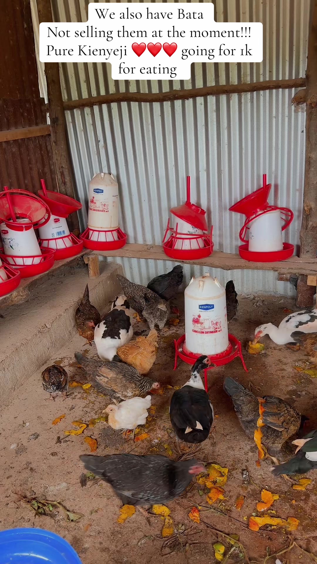 @kimasmartfarmsltd