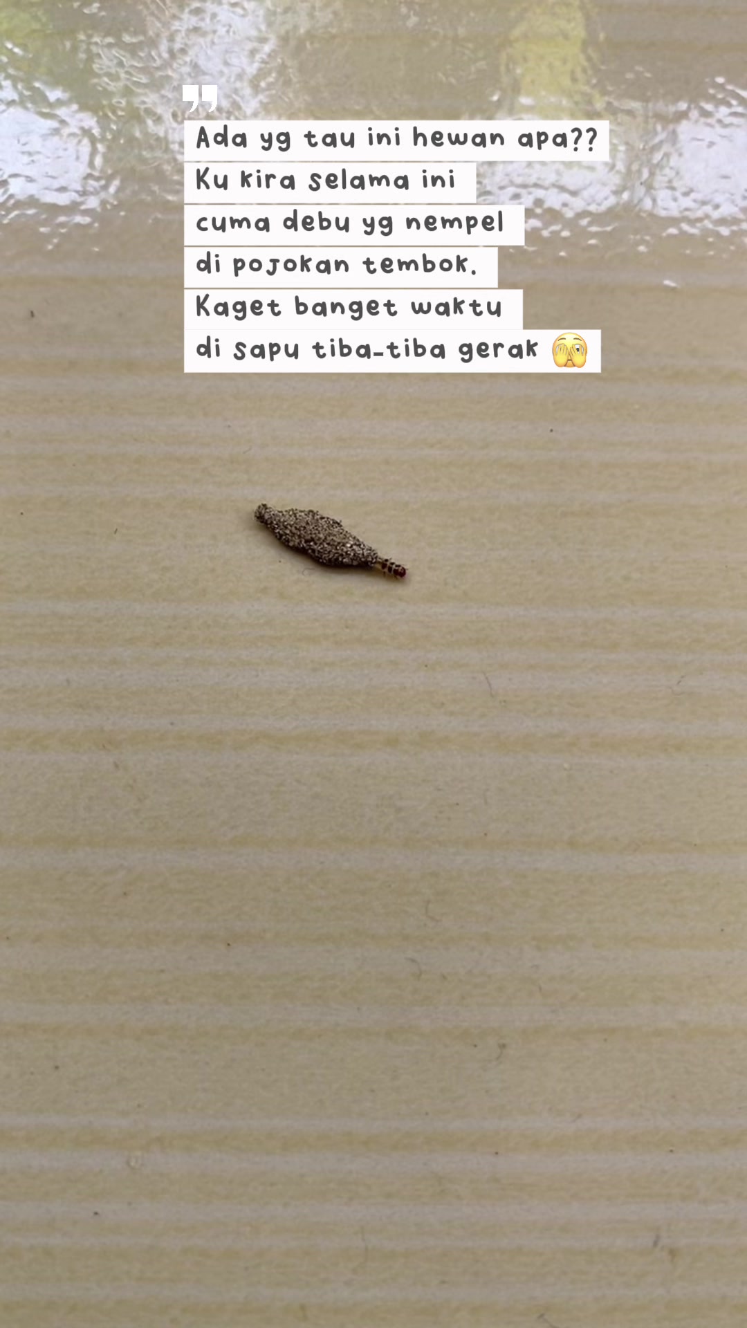 @AmelSpace