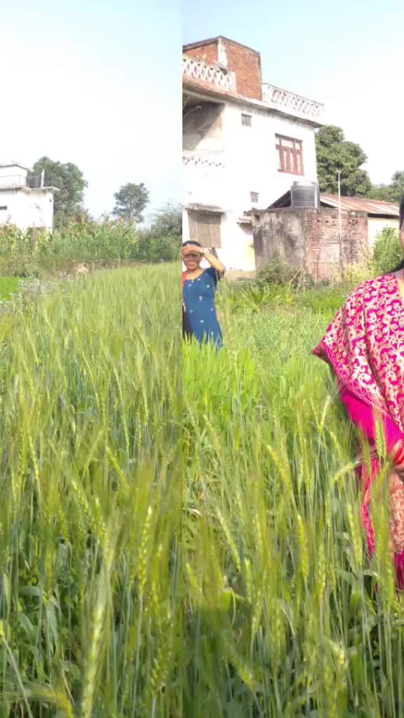 @Sabitra Dhungana