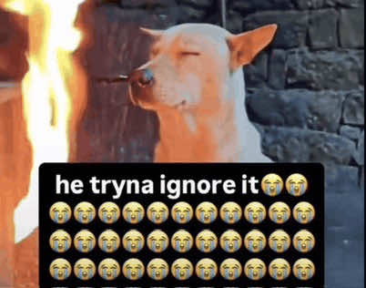 @whataboutfaruk