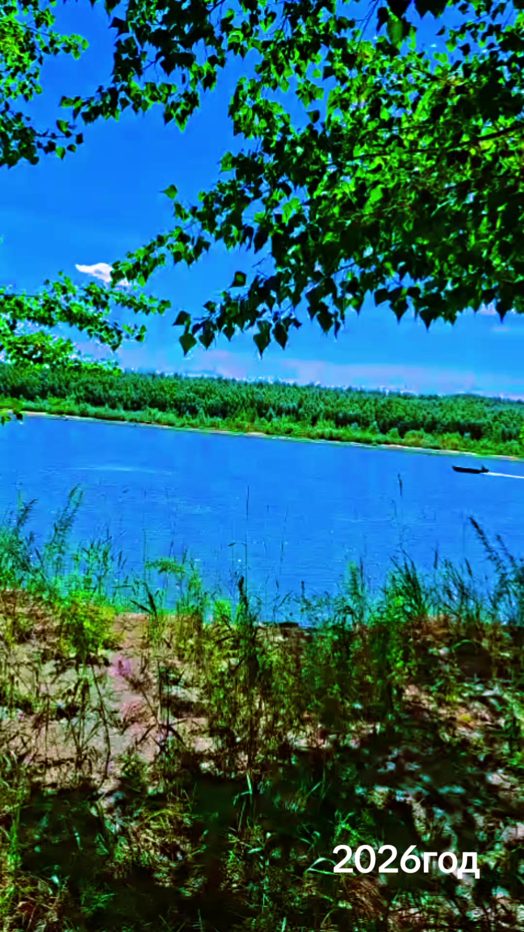 @Виолетта