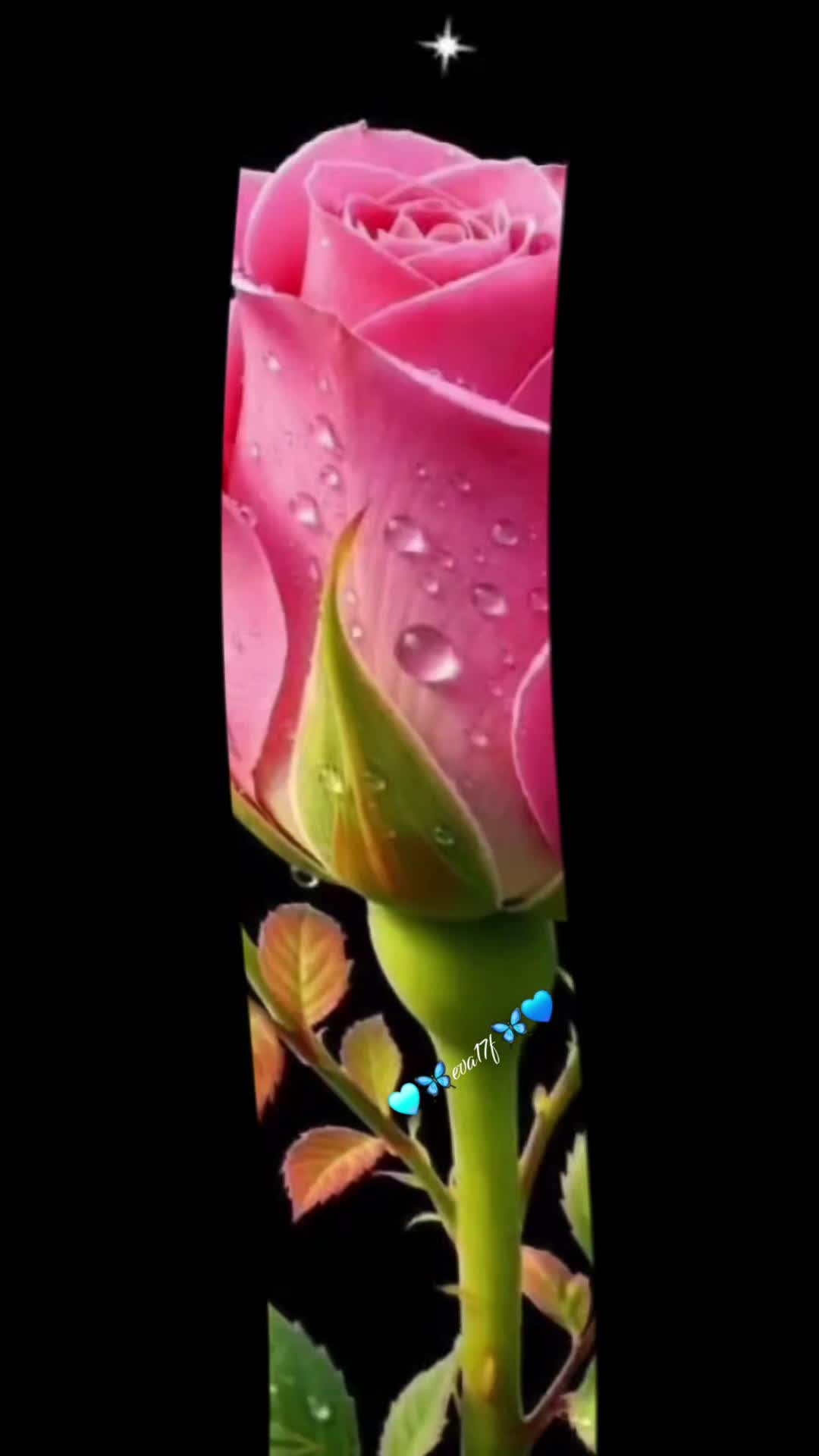 @🦋eva17f🦋🙏🍀📿🧿🦋