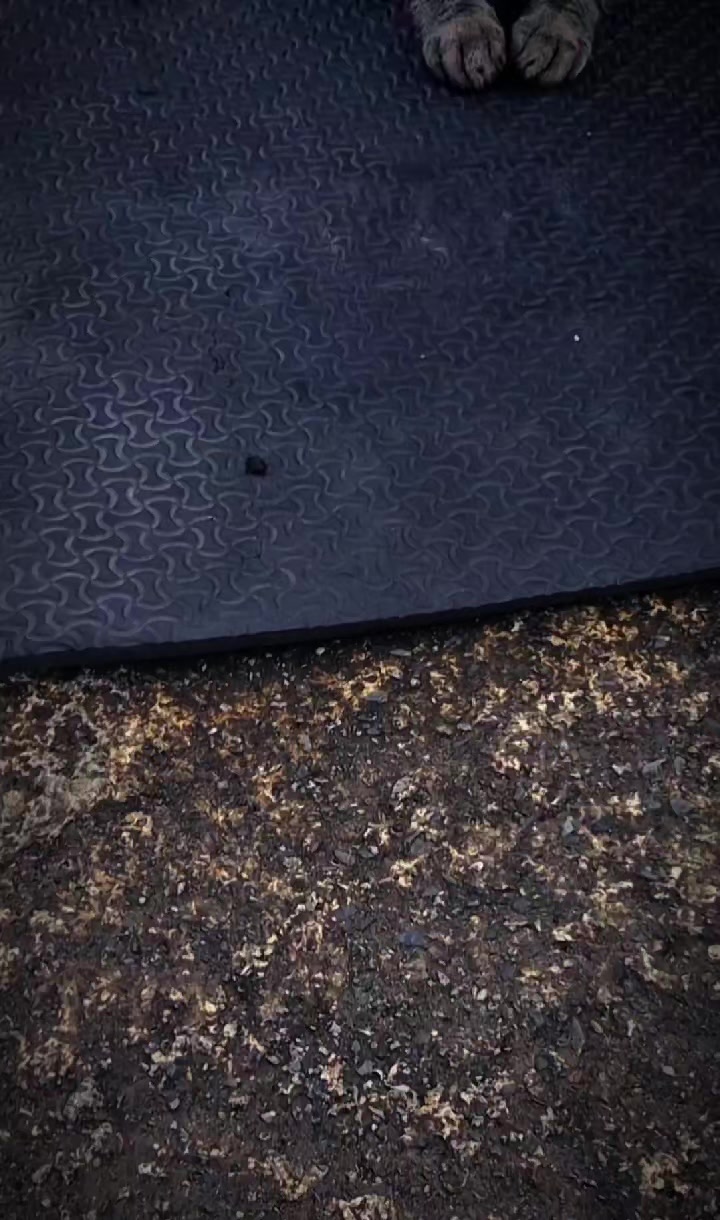 @BRYNER JANS
