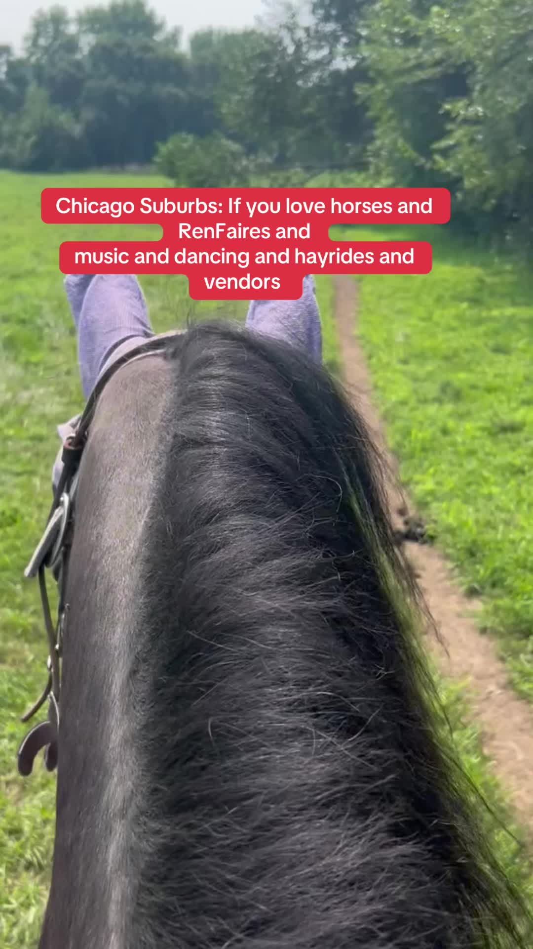@SaddleSnaps