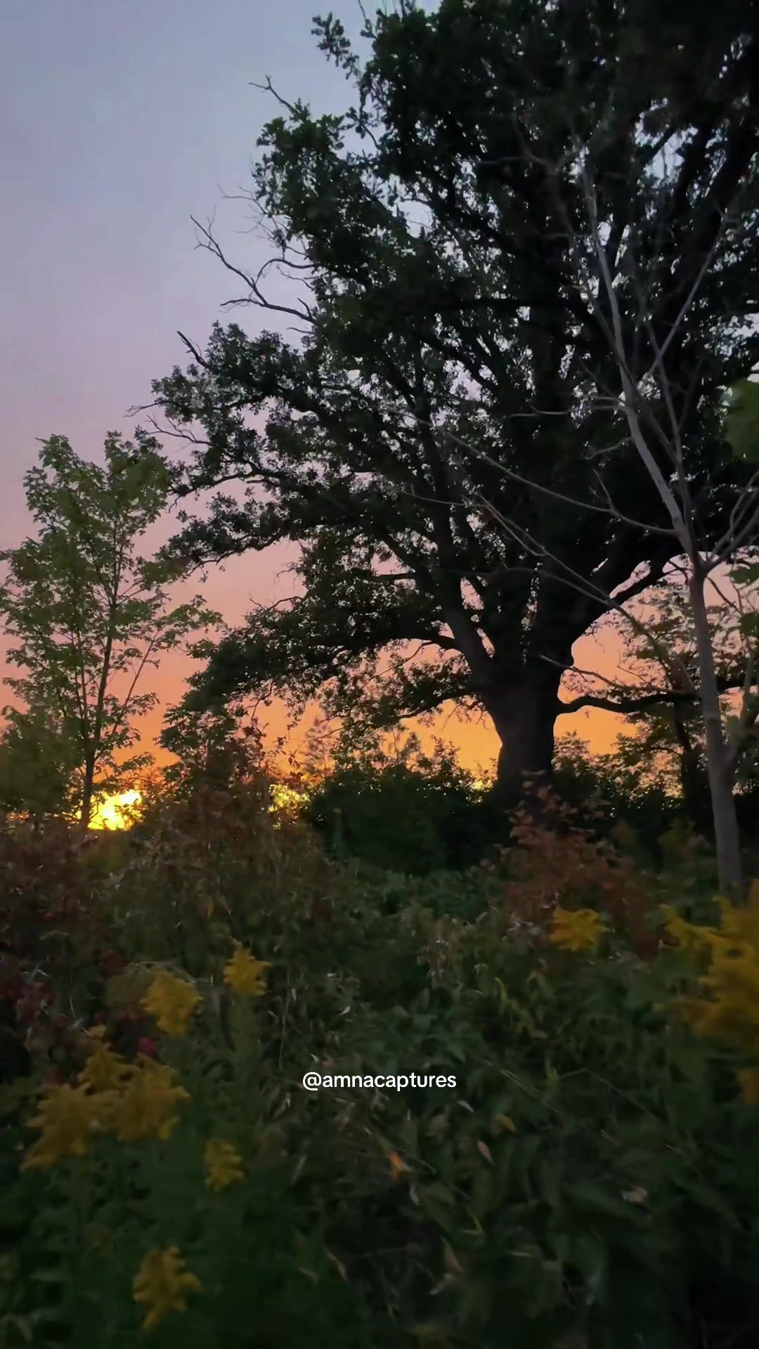 @Nature lover 🇨🇦