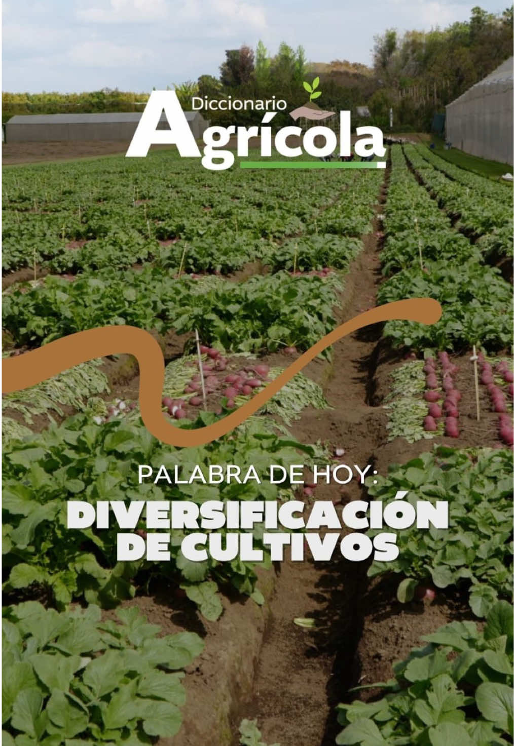 @Ministerio de Agricultura