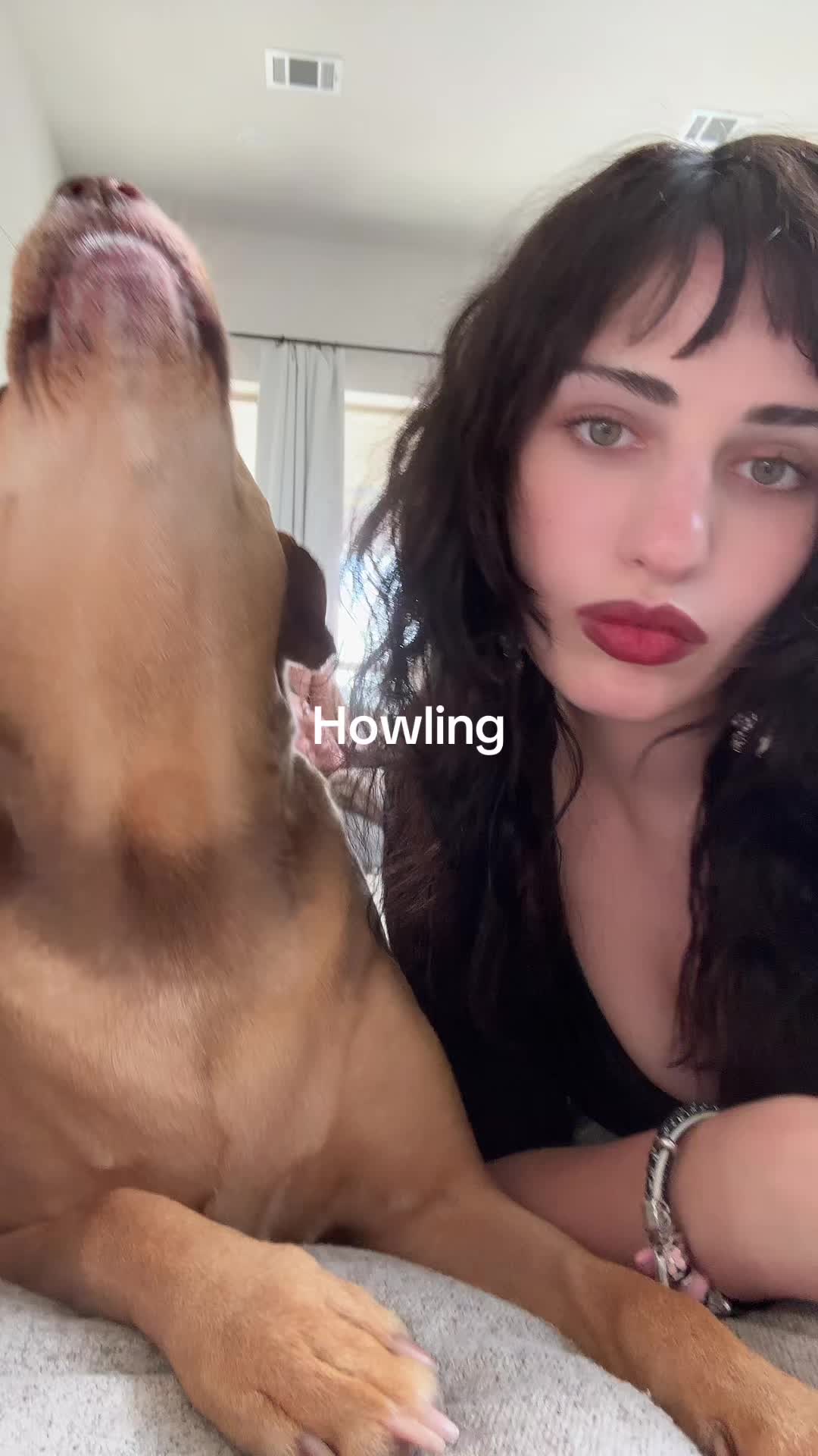 @Firepuppy