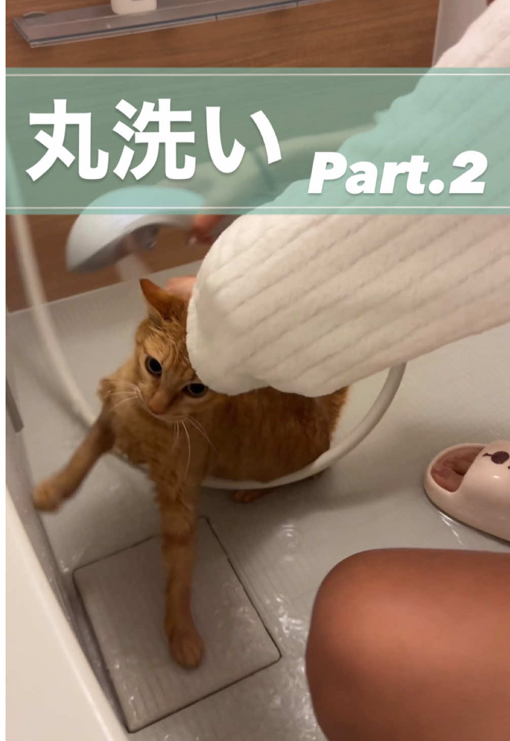 @さっことおちょ