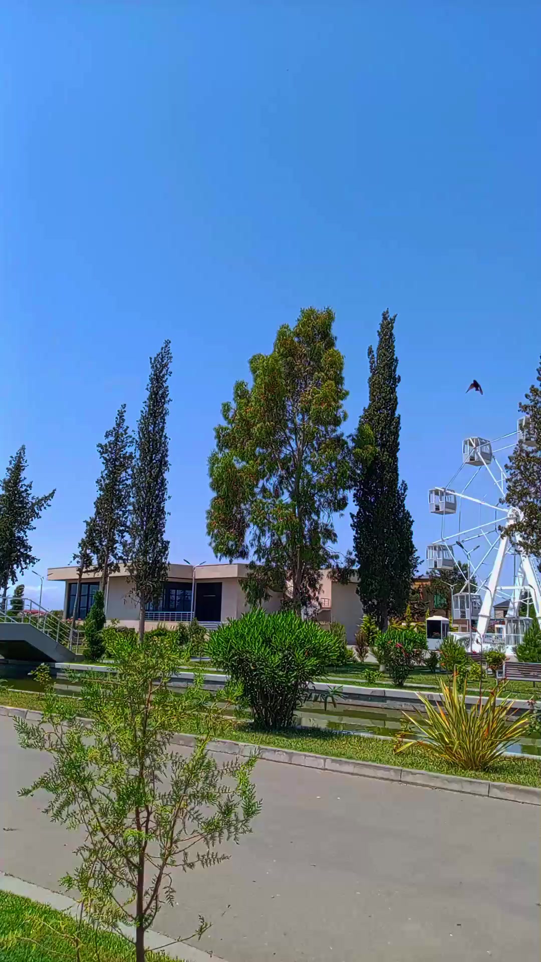 @İ𝐫𝐤𝐚🦁