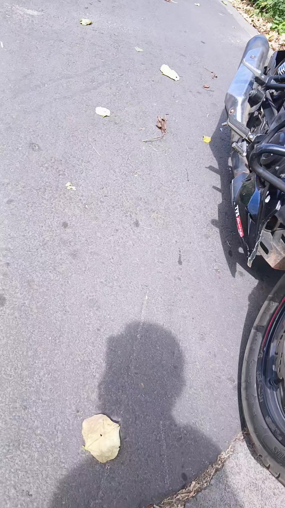 @🍒La-Chaparritha-biker🍒