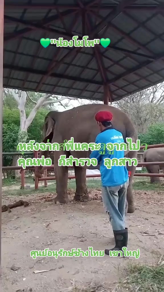 @Bua