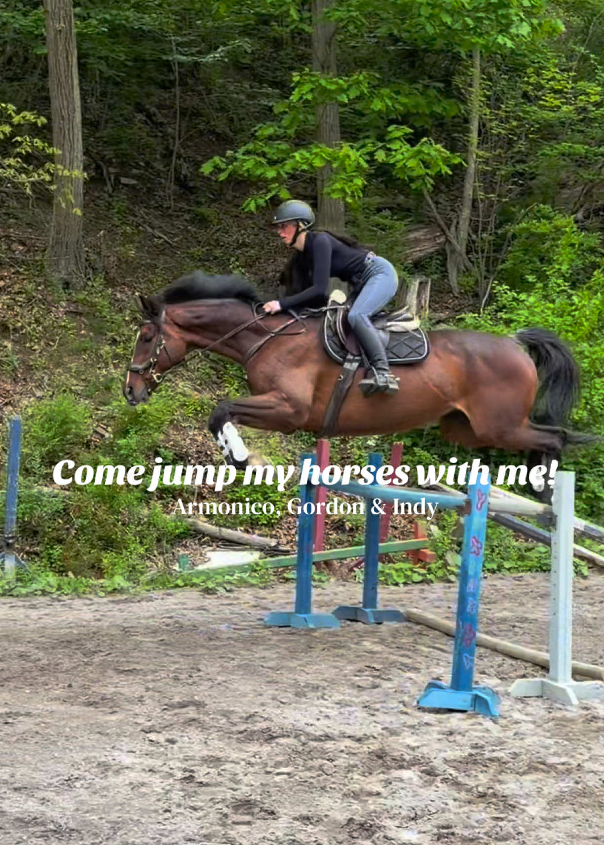 @Lunar Hill Equestrian