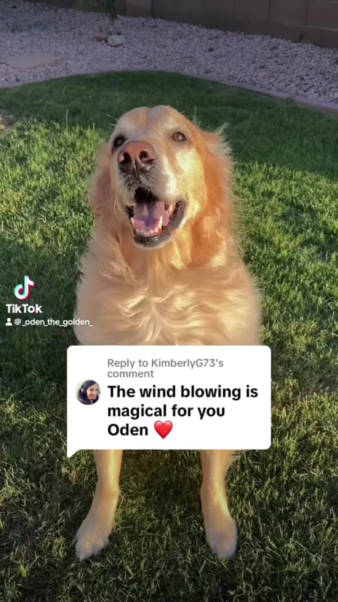 @Oden