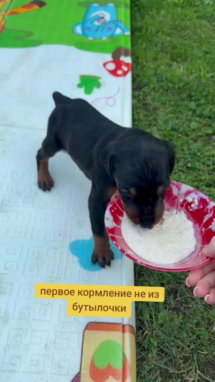 @alenkainrussiа