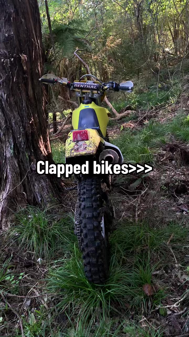 @DRZ Toby🫠