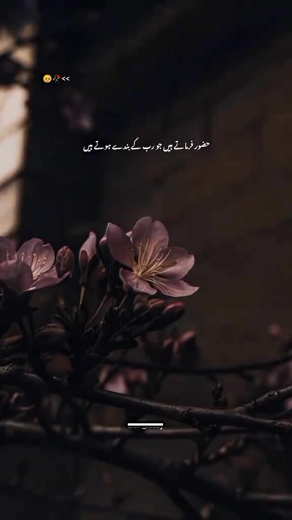@{𝐀𝐋𝐢}&deg;𝐒𝐮𝐥𝐭𝐚𝐧 𝐨𝐅𝐅⛎