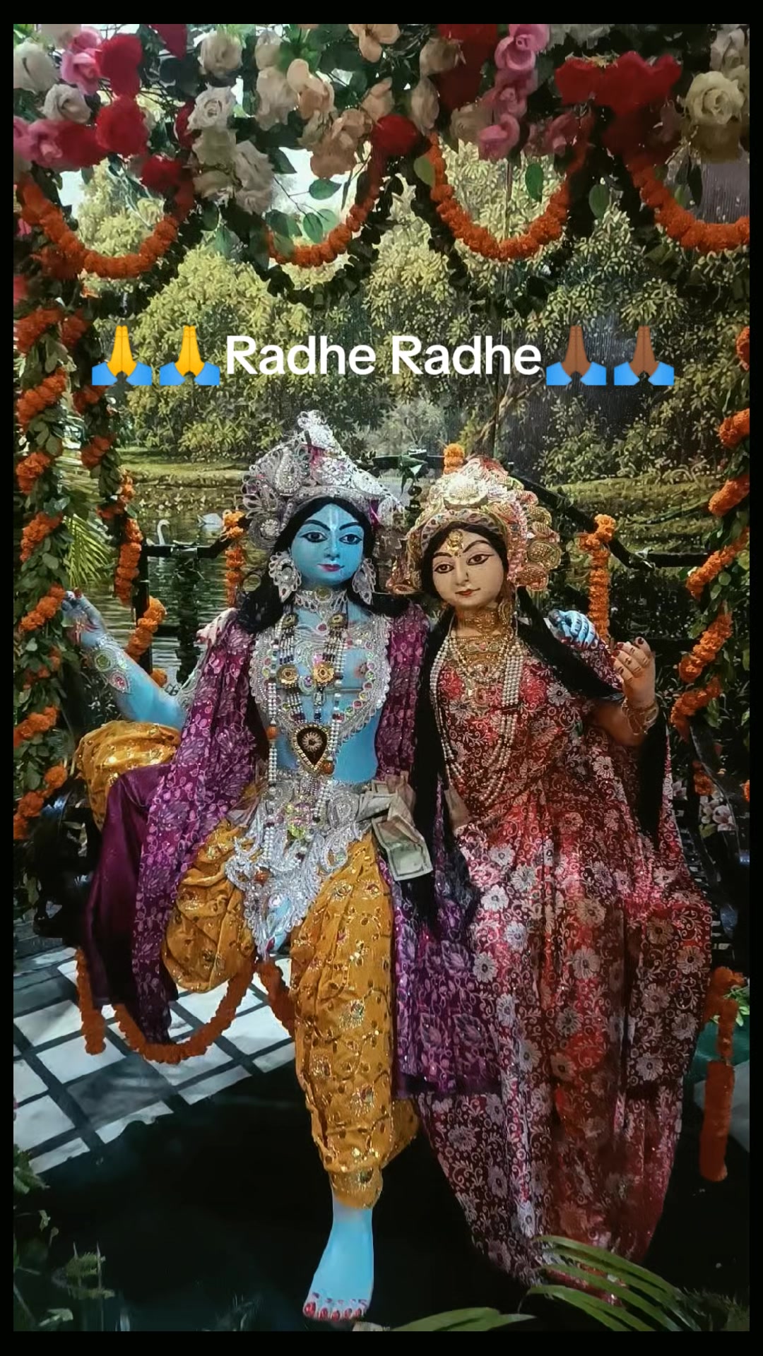 @rabi shah