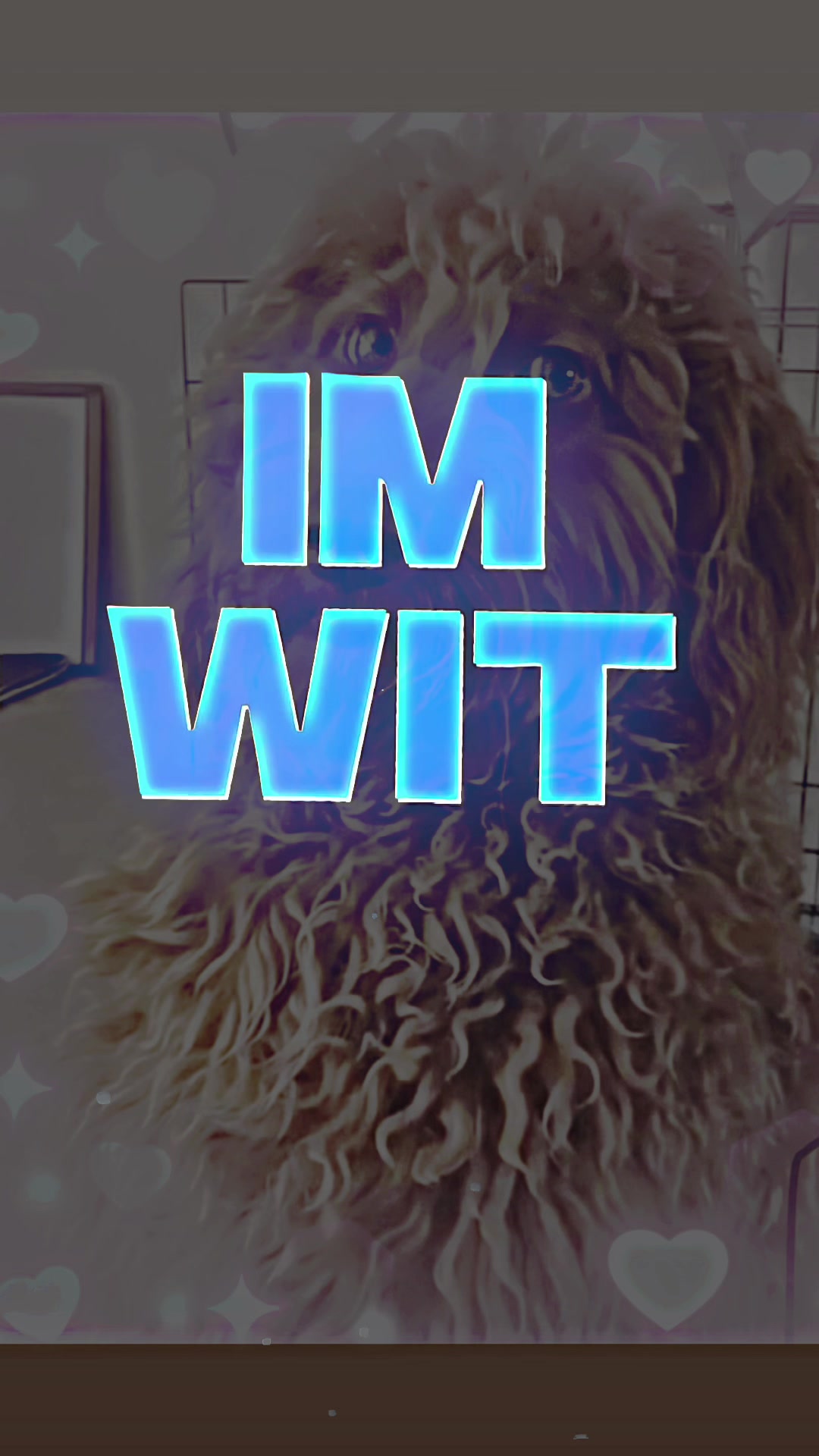 @chillguy