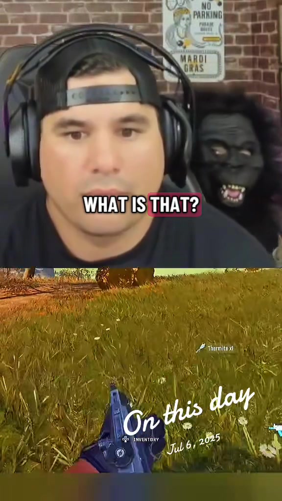 @WOLF