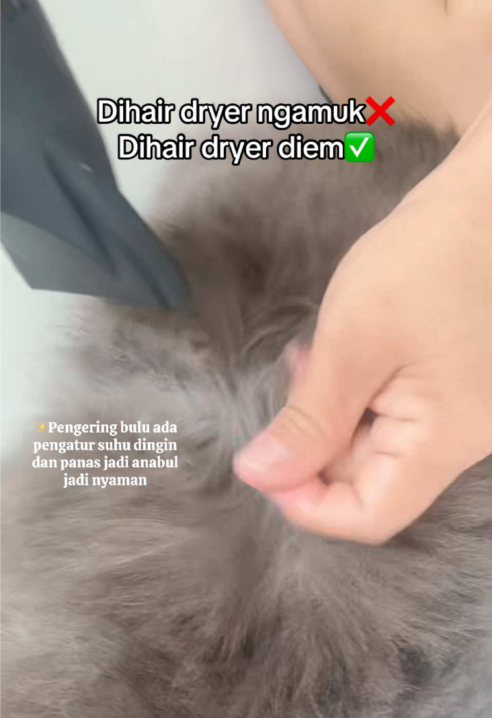 @dr.atika🦋
