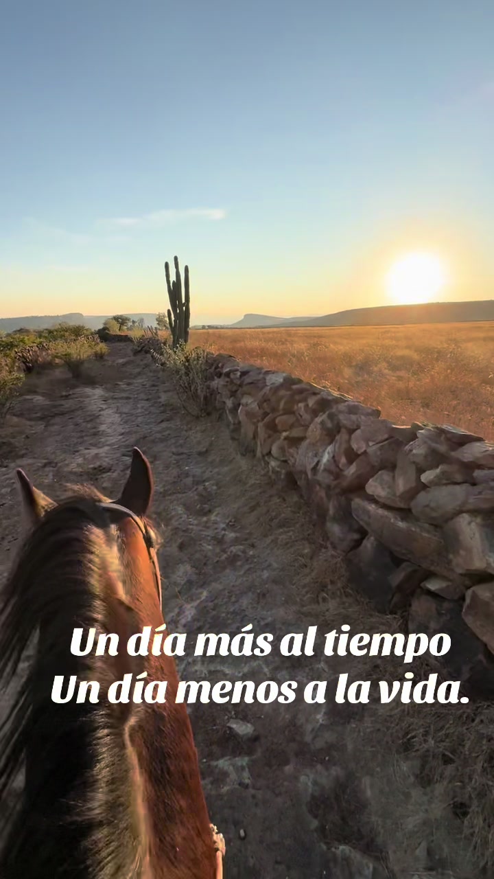 @El zurdo🌵🐴