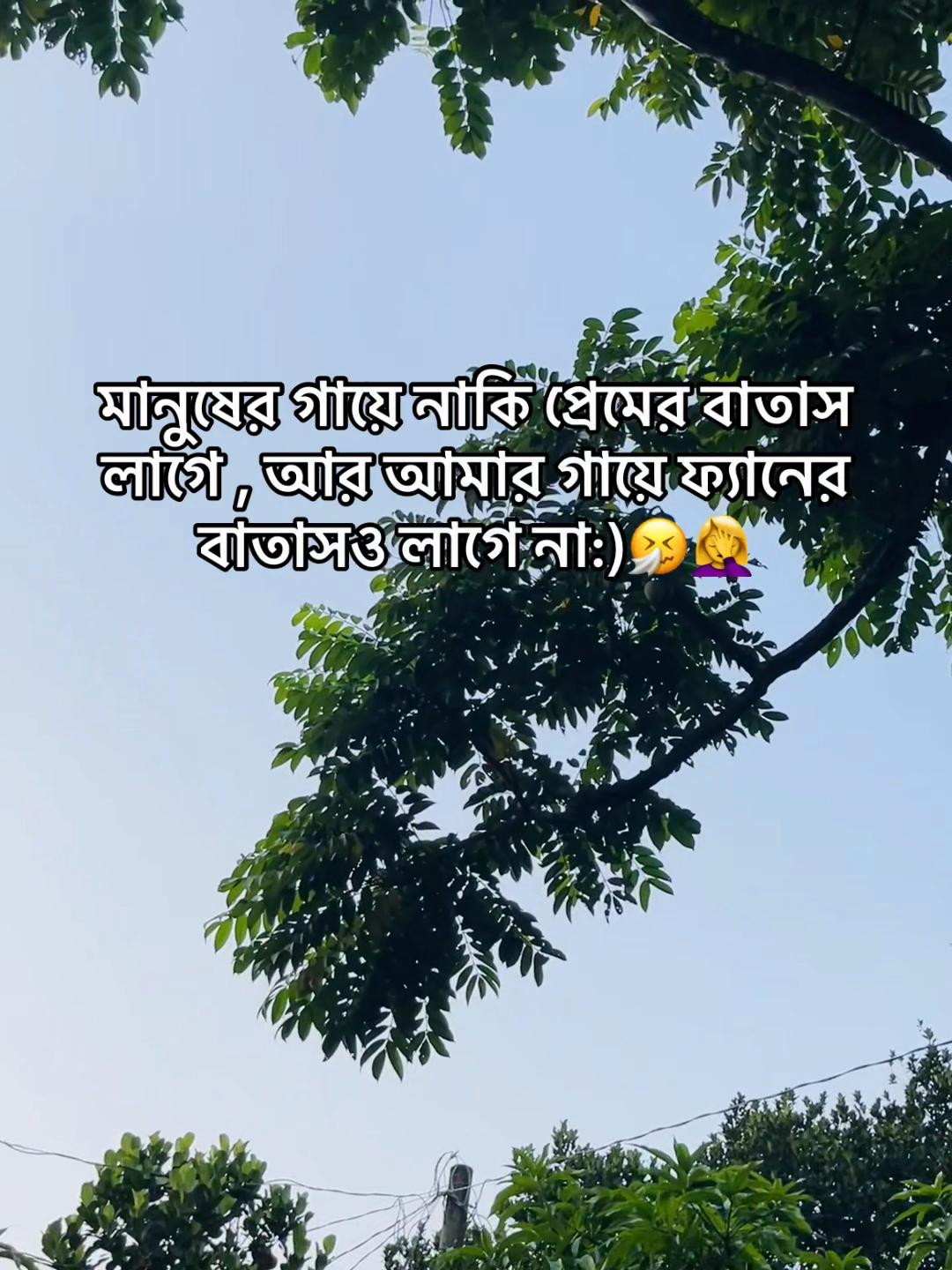 @💫 ⸻𓆩ꜱᴇɴɪᴏʀ ᴘᴏᴏᴋɪᴇ𓆪⸻ 🍒🦋